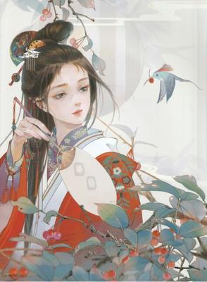 每日大赛免费观看在线